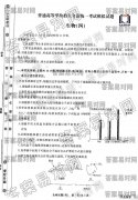 ͬ濼2020оģ?ɽ