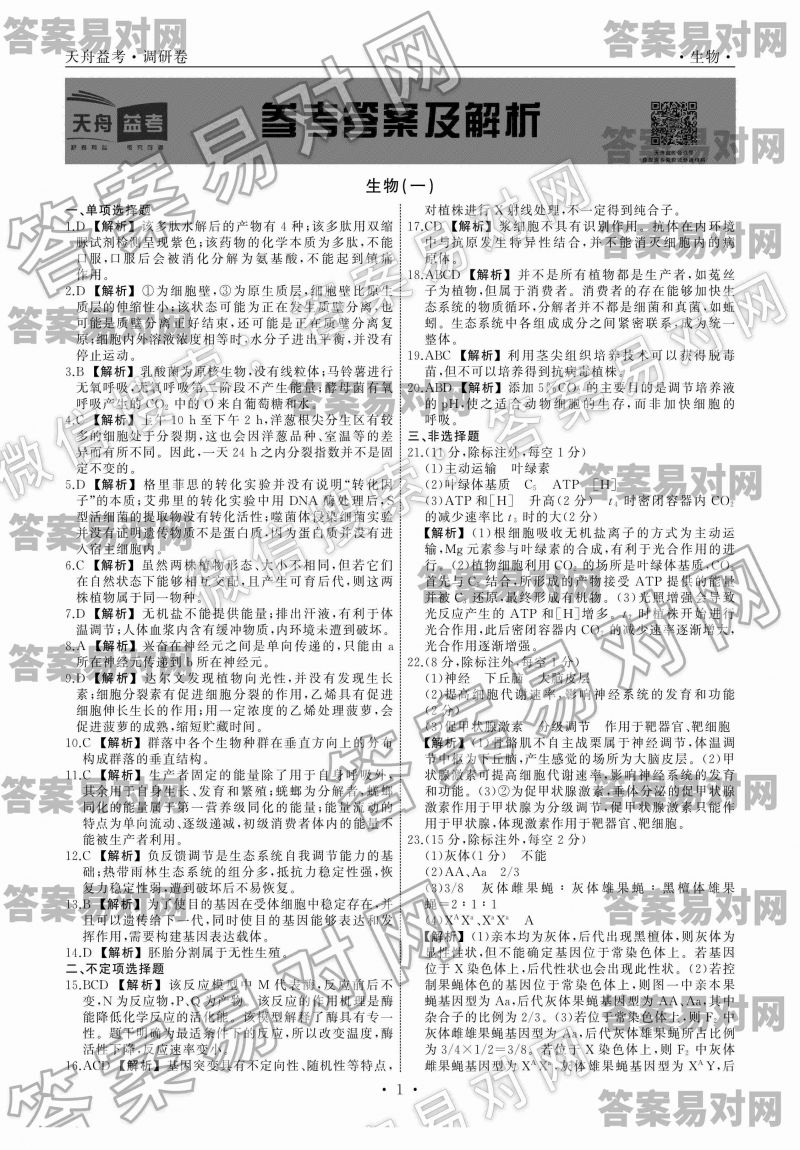 ͬ濼2020оһ?ɽͼƬ