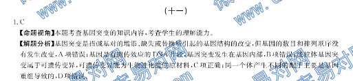 ȫ100УԪʾʮһ𰸵11Ԫͻ估졫ִۡ20G3DYͼƬ