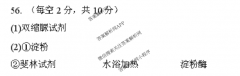 ȫ100УԪı޶