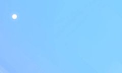 ȫ100УԪʾѡԱϲ
